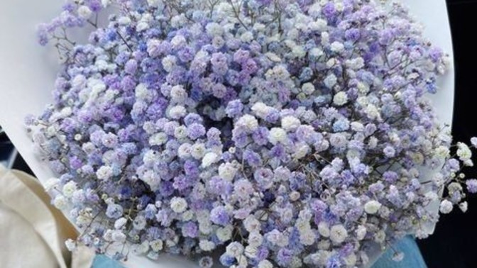 Çiçek almak için ödenen para size de boşa gidiyormuş gibi gelmiyor mu?
