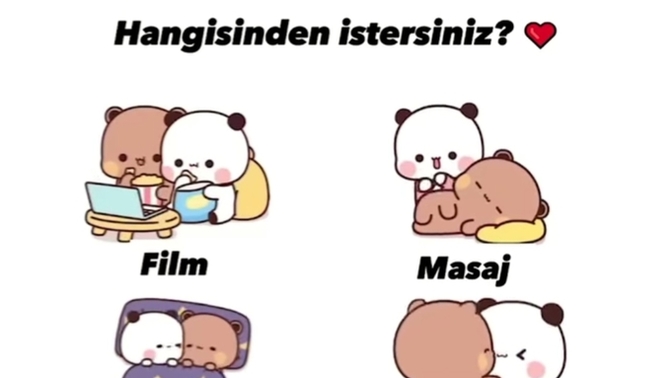 Hangisinden istersiniz (soru görseline bak)?