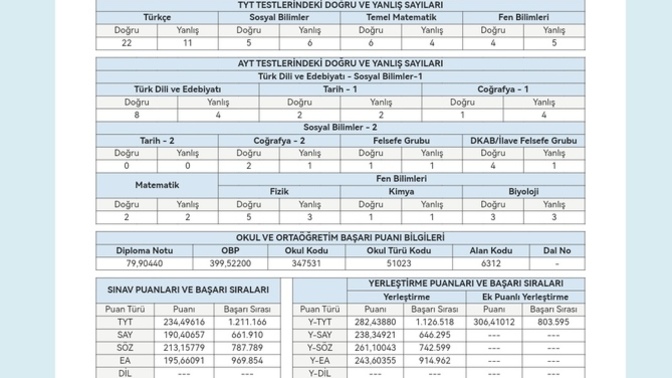 Mezuna kaldim sayisalciyim nasil ilerlemeliyim?