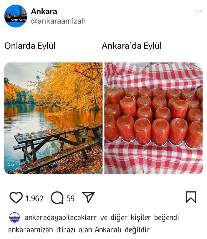Eylüle nasıl girdiniz?