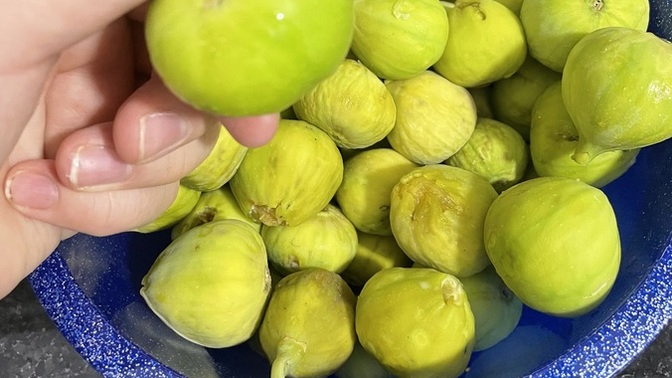 Napıyosunuz anlık🫴?