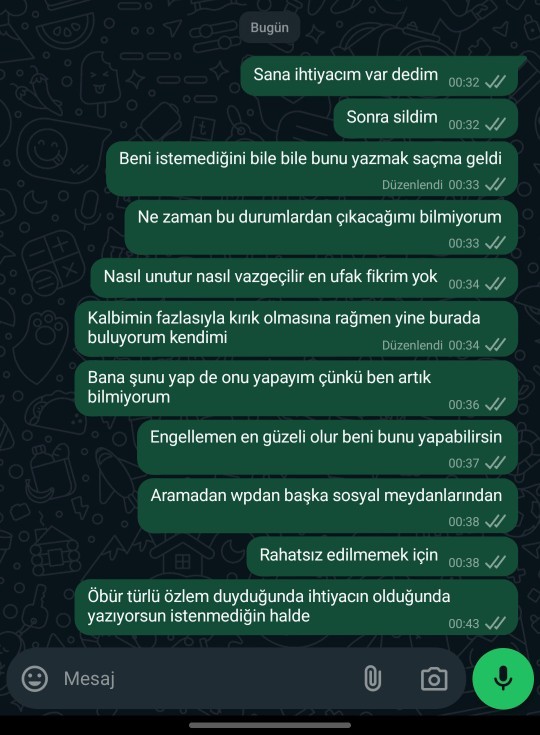 Erkekler size böyle mesaj atan bi kız hakkında ne düşünürdünüz?
