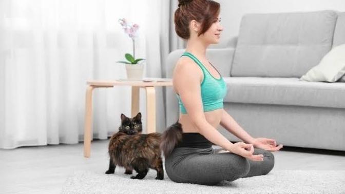 Seni en mutlu eden olumlama cümlen nedir?