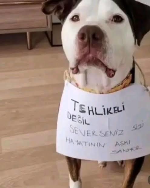 Hayatının aşkını hala bulamadın mı?
