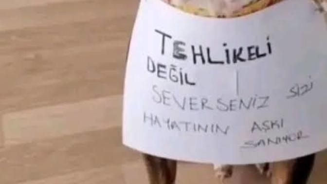 Hayatının aşkını hala bulamadın mı?