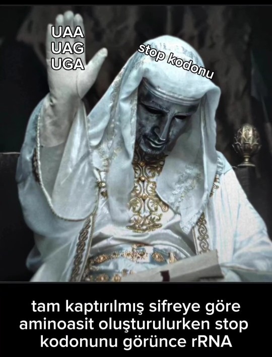 Bir espri yap desem ne yapardınız?