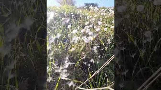 Zamanı gelen, yeni hayatlar için yolculuğa çıkar?