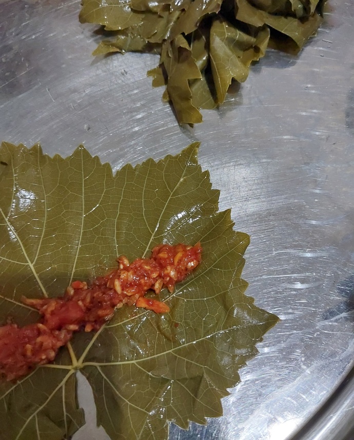 A101 Burcu sarma yiyen kızlara bizi değiştiler! 🤪 Yaprak sarması sever misiniz?