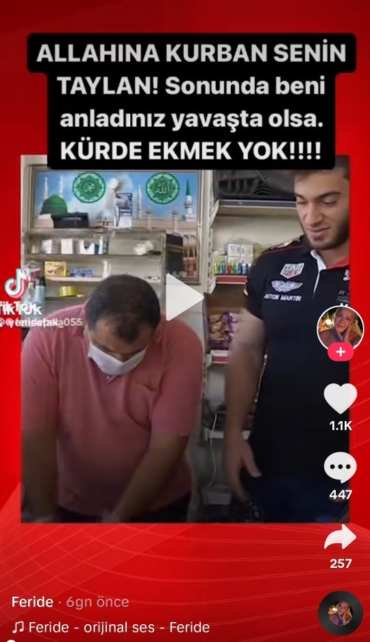 Irkçı bir insan mısınız?
