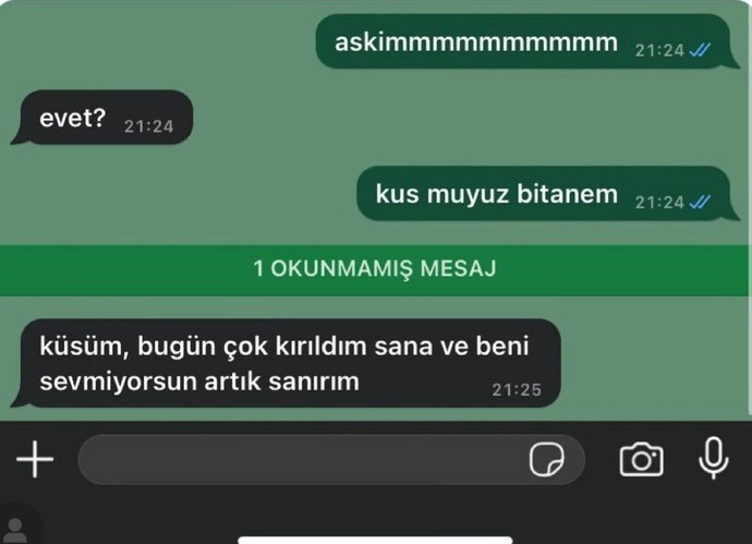 Ne yapacağız şu erkeklerin prensesliğini?