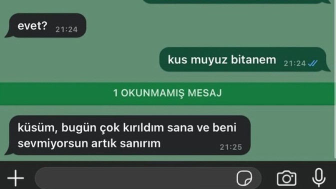 Ne yapacağız şu erkeklerin prensesliğini?