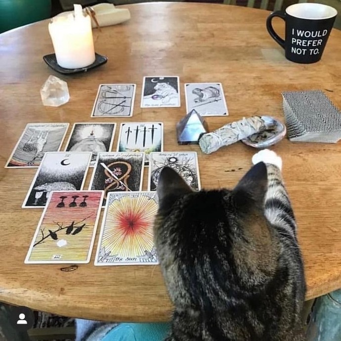 Daha önce hiç tarot falı baktırdınız mı?