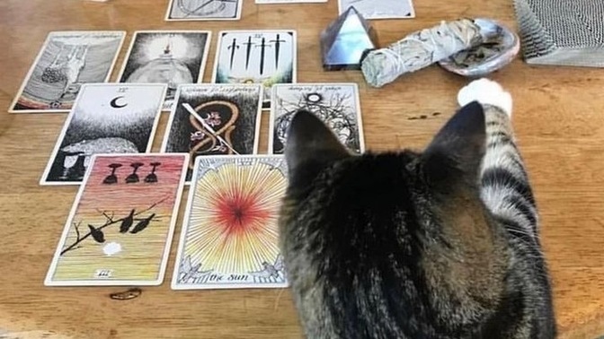Daha önce hiç tarot falı baktırdınız mı?