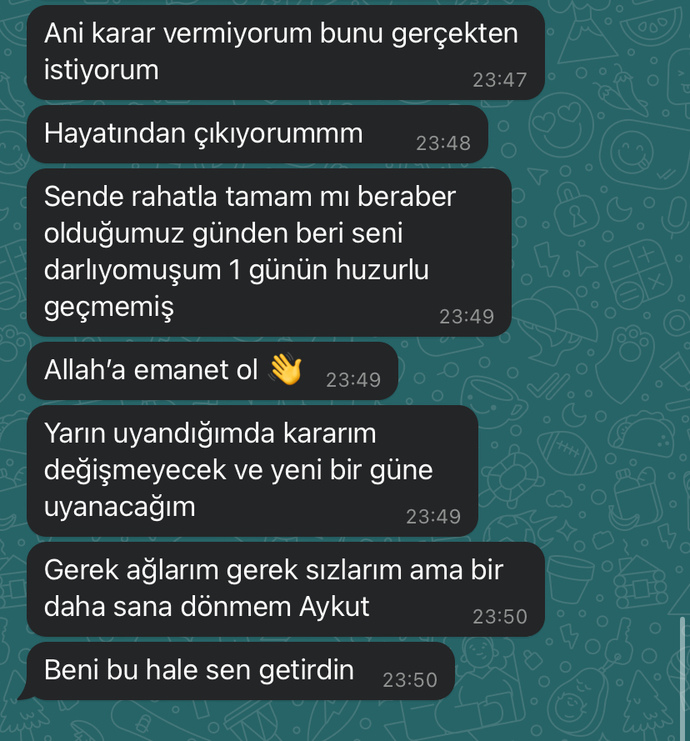 Arkadaşlar mesajlarımız bu şekilde bu ilişki sizcede bitmiş değil mi? Geri dönüşü yok yani?