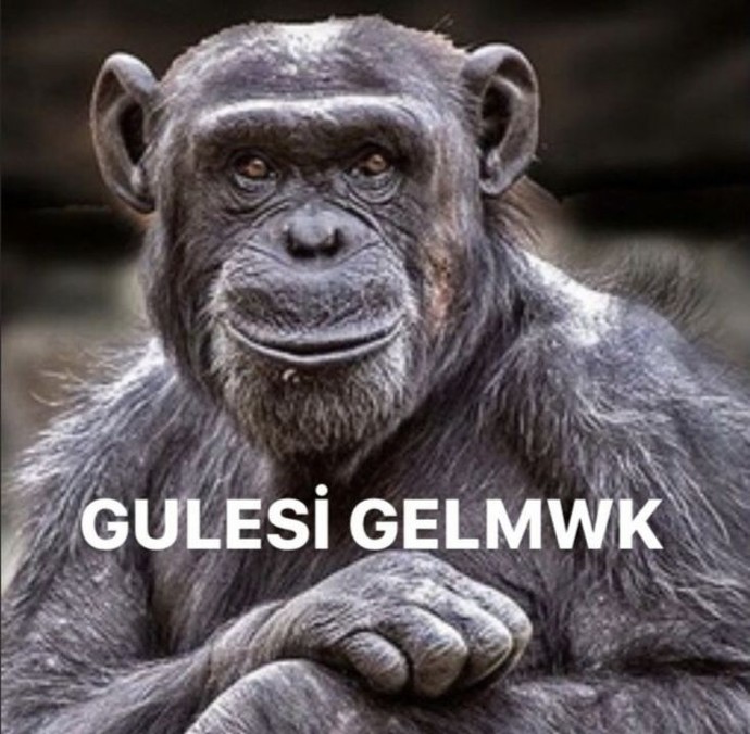 Şanslı biri misiniz?