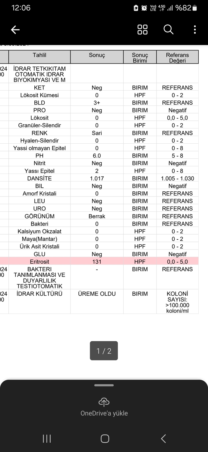 Bu tahlil ne oluyor arkadaslar eristorit yuksekligi neden oyle?