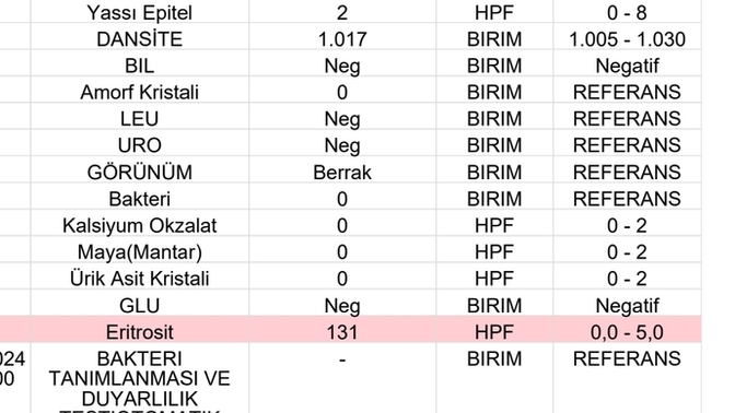 Bu tahlil ne oluyor arkadaslar eristorit yuksekligi neden oyle?