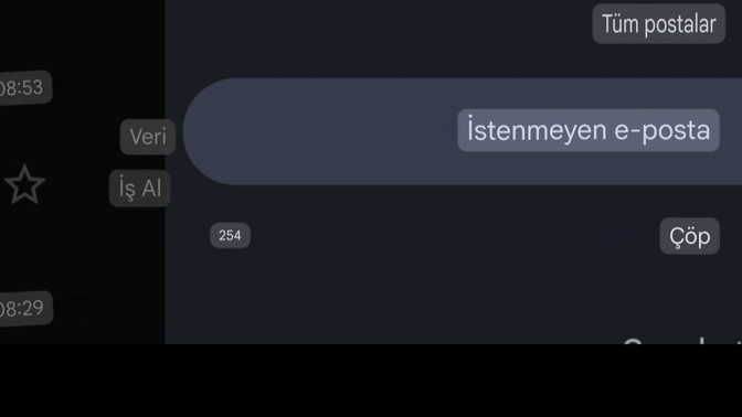 E-postalarınızı ne sıklıkla temizliyorsunuz?