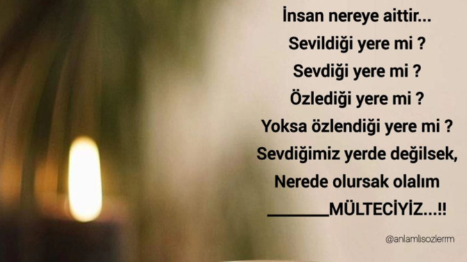 İnsan nereye aittir?