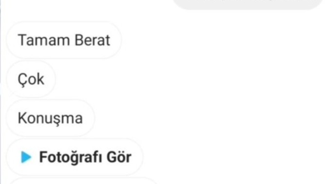 Erkekleri cinsellikle yola getirmek neden bu kadar kolay?