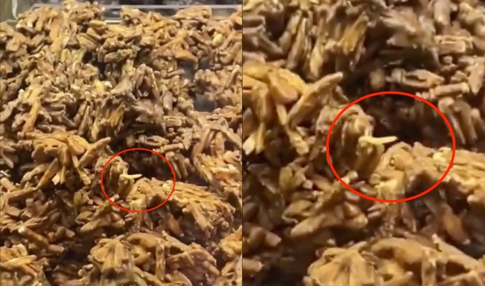 Kahve Dünyası’nda atıştırmalıkların üzerinde dolaşan kurtlar gündem oldu. Kahve Dünyasına sık sık gider misiniz?