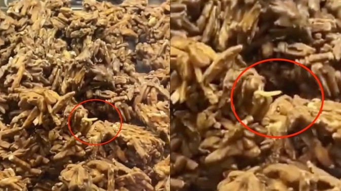 Kahve Dünyası’nda atıştırmalıkların üzerinde dolaşan kurtlar gündem oldu. Kahve Dünyası'na sık sık gider misiniz?