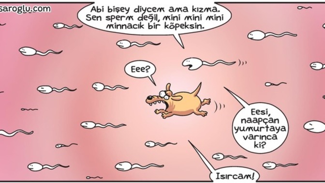 Sert seks arzusu spermlerle taşınan genetik bir kod olabilir mi?
