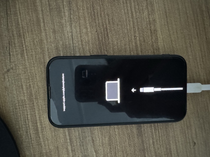 Arkadaşlar telefonum güncelleme yaparken böyle oldu napıcam?
