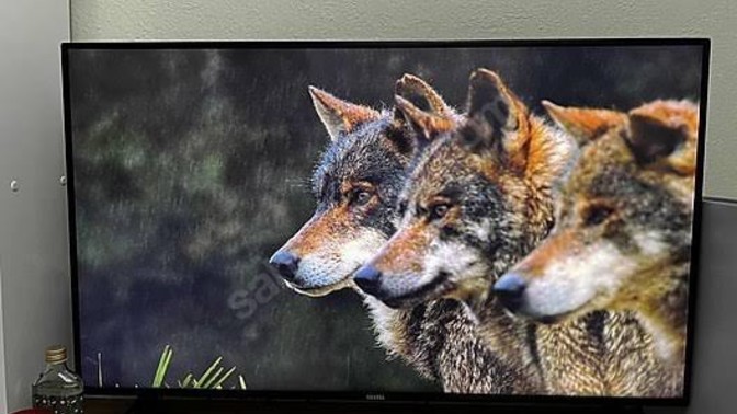 Sevdiğiniz veya sevmediğiniz (misafir çocuğu) kişilerle izlediğiniz çizgi film, film neler olmuştu?