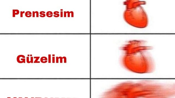 En sevdiğiniz sevgi sözcüğü nedir?