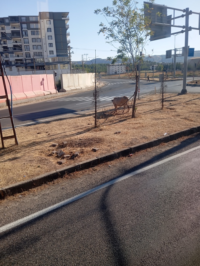 Yolculukta dinlenecek şarkılar nelerdir?