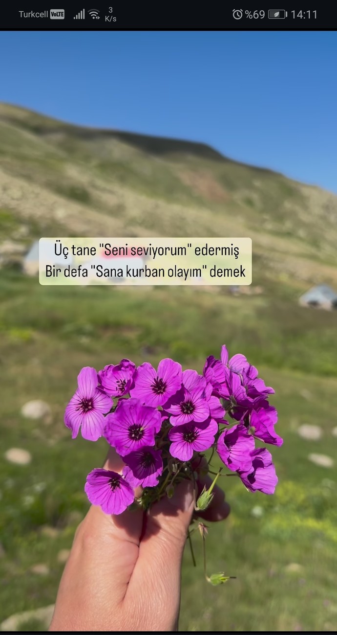 Sayıya bakıyor muyduk? Üç aliyim 😂