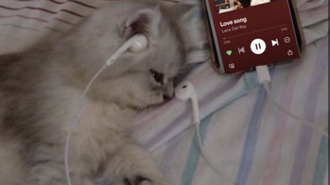 Bir şarkı önerebilir misiniz?