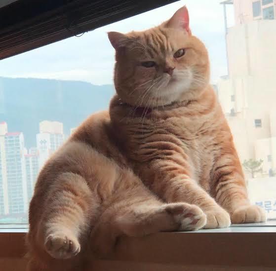 Ben seni komple yiyerem, ısırıram 😍
