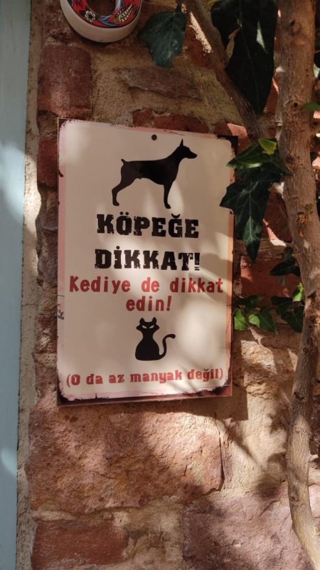 Düşmanın gizli olanını nasıl fark edersiniz?