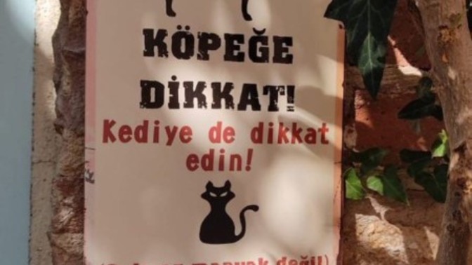 Düşmanın gizli olanını nasıl fark edersiniz?