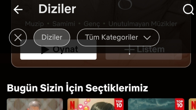 Bana netfilixten aşırı beğenilen ve kaliteli olan mini dizi önerir misiniz ?