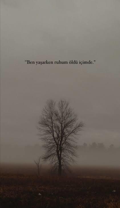 İçinde yaşattığın birisi var mı?
