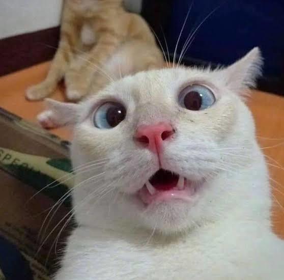 Fotojenik misin 🤍?