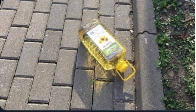 Sosyal deney mi acaba 🤭🤭elinden tutup eve kaçırsam oda benimle gelir mi sizce? al yazmalım selvi yağlım🤭🤭🤭?
