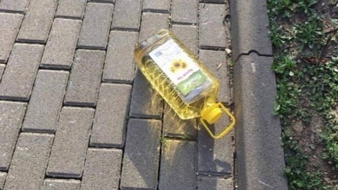 Sosyal deney mi acaba 🤭🤭elinden tutup eve kaçırsam oda benimle gelir mi sizce? al yazmalım selvi yağlım🤭🤭🤭?