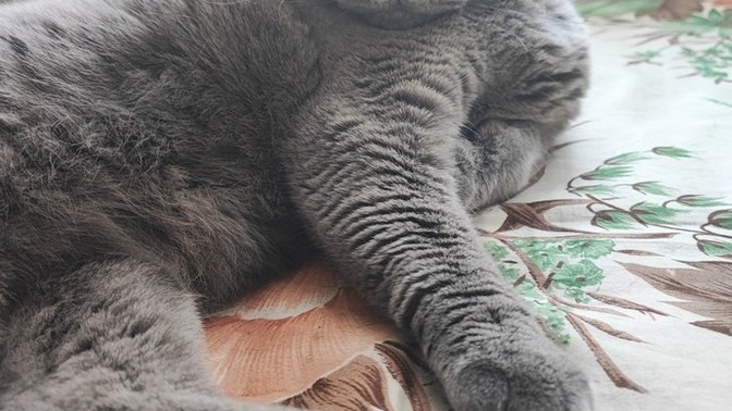 Sevdiğinizi ve sevmediğinizi bakışlarınız ile belli eder misiniz?