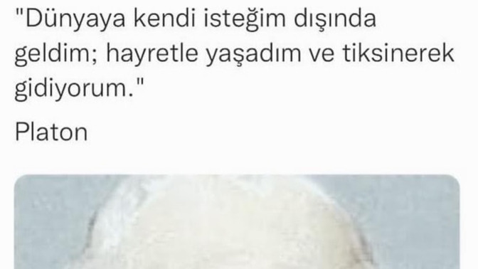 Filozoflar size samimi geliyor mu?