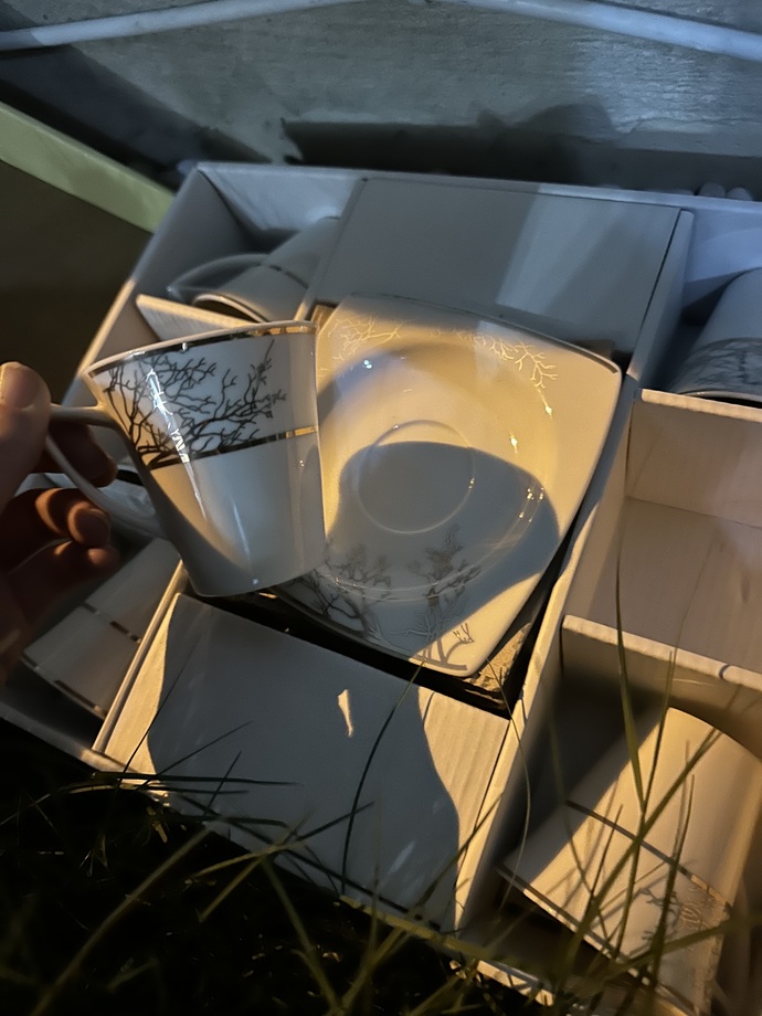 Hangi fincan daha güzel?