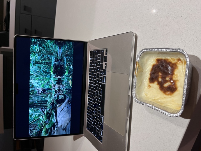 Sütlaç sever misiniz KS üyeleri?