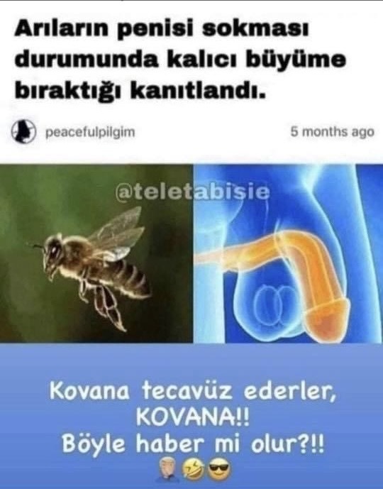 Doğal yollarla penis büyütmek mümkün müdür?