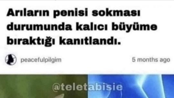 Doğal yollarla penis büyütmek mümkün müdür?