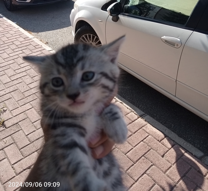 Peki hayvanlara saygınız var mı?