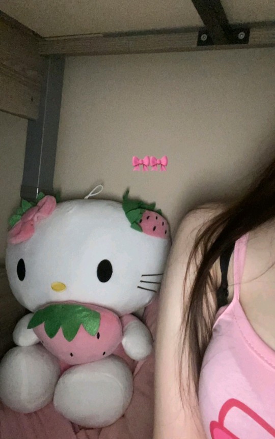 Peluş ayıcıkları seviyor musunuzzzz 🐼🐻?