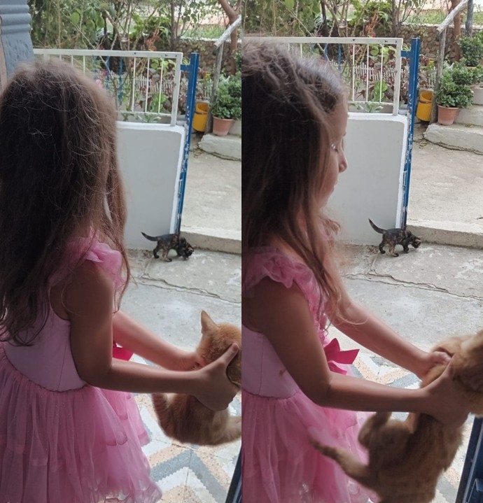 Üst komşum 3 tane kedi bakıyor, küçük yeğenim ben onların velisiyim diyor. Kedileri çok sahiplendi, yeğenimi onlardan nasıl ayırırım?